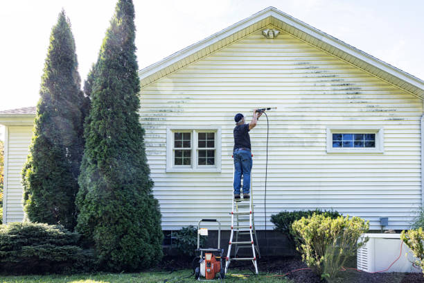 Best Local Pressure Washing Services  in Melcher Dallas, IA